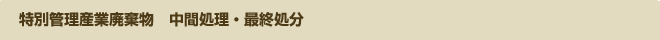 特別管理産業廃棄物 中間処理・最終処分